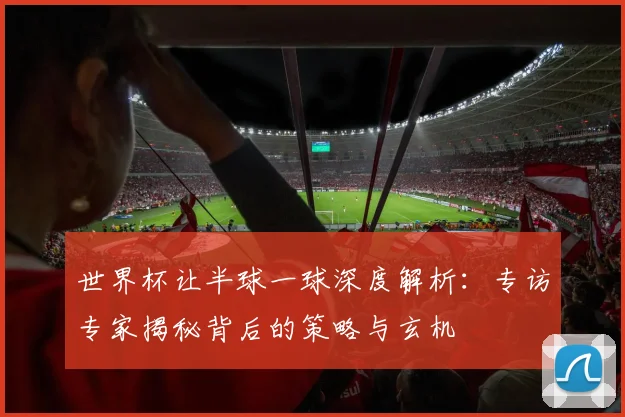 世界杯让半球一球深度解析:专访专家揭秘背后的策略与玄机