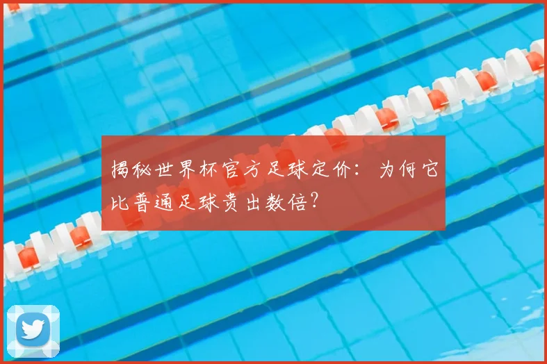 揭秘世界杯官方足球定价：为何它比普通足球贵出数倍？