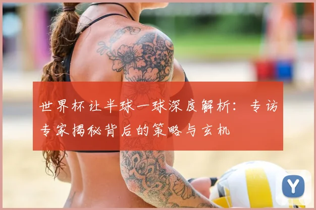 世界杯让半球一球深度解析:专访专家揭秘背后的策略与玄机