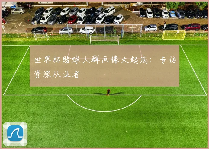 世界杯赌球人群画像大起底：专访资深从业者