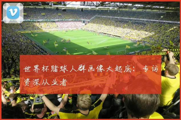 世界杯赌球人群画像大起底：专访资深从业者