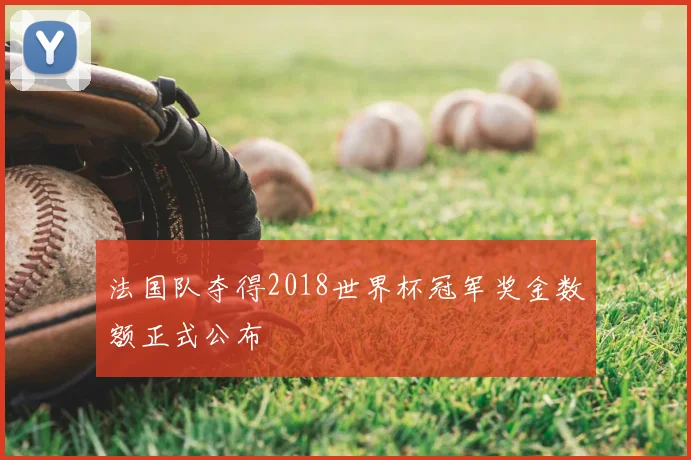 法国队夺得2018世界杯冠军奖金数额正式公布
