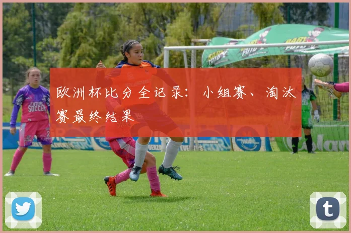 欧洲杯比分全记录：小组赛、淘汰赛最终结果