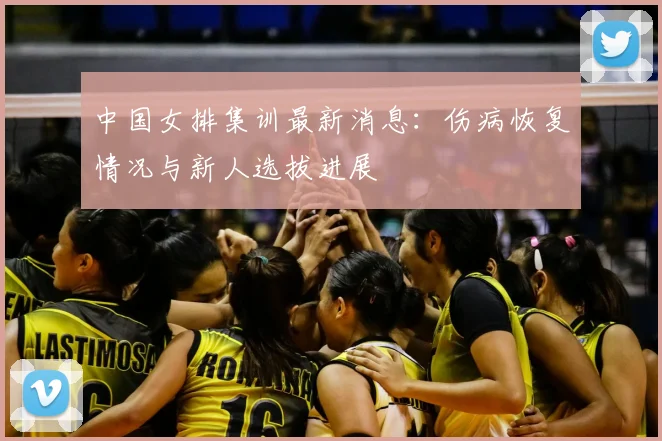 中国女排集训最新消息：伤病恢复情况与新人选拔进展