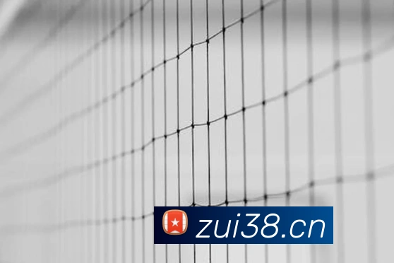 米兰官方网站入口APP 高清赛事图